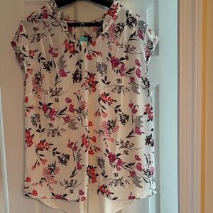 Daniel Rainn Cream Floral Blouse